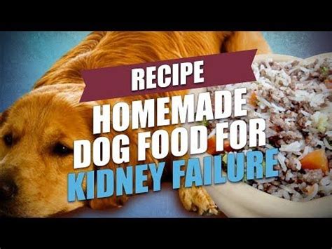 Lean meat is a good option, always in moderate quantities. Homemade Dog Food for Kidney Failure Recipe