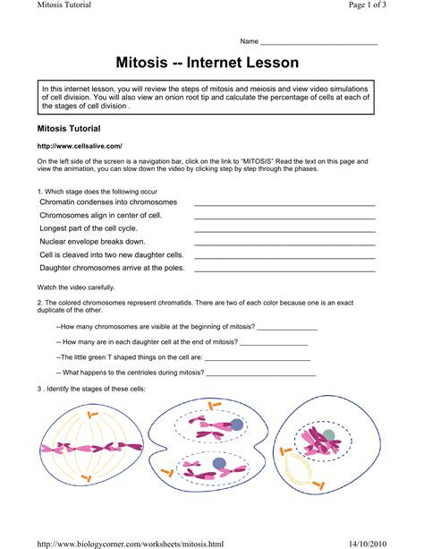 Obtain cell cycle color and label worksheet worksheets sheet kids from the cell cycle worksheet answer key, source:sheetkids.biz. Mitosis Coloring Worksheet Answer Key Biology Corner, 31 Cell Cycle Coloring Worksheet Answers ...