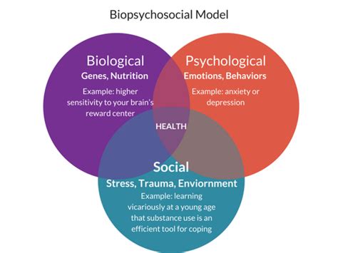 Biopsychosocial Models For Schizophrenia