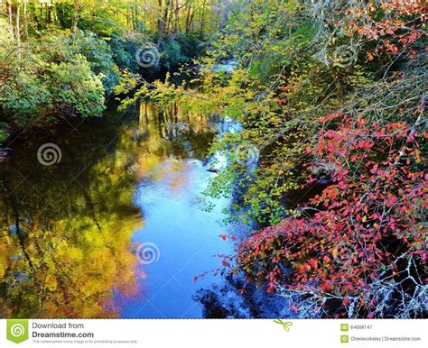 Colorful Riverside Fall Foliage Stock Image Image Of Tourism