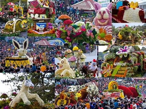 Panagbenga The Flower Festival Baguio Philippines The Golden Scope