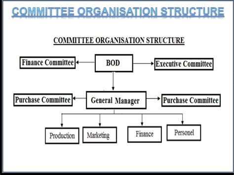 Committee Organizational Structure
