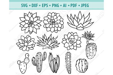 Cactus Svg Succulents Svg Plants Clipart Dxf Png Eps