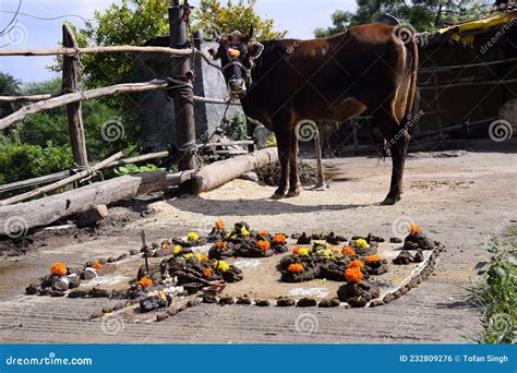 Beautiful Shape Or Artwork Made Of Cow Dung Indian Rural Woman