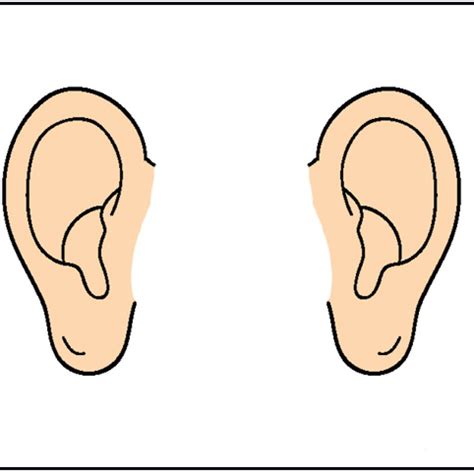 Clipart Ear At Getdrawings Free Download