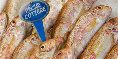 Types Of Fish In France Perfect For A Seafood Feast Hauts De France