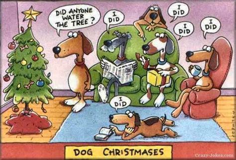 Funny Christmas Dog Pics Funny Christmas Cartoons Funny Christmas