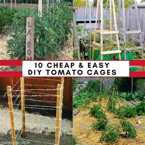 Want To Make Your Own Tomato Cages Tomato Cages Tomato Cage Diy