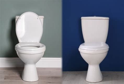 Comfort Height Vs Standard Toilet Which To Choose House Grail