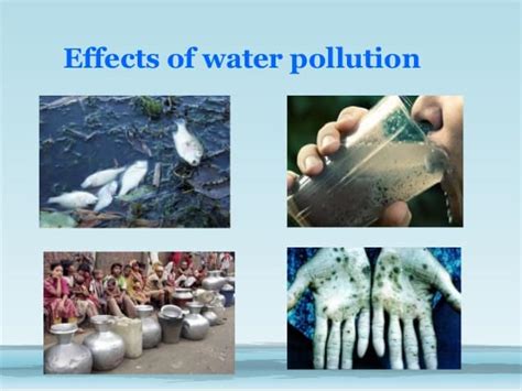 Water Pollution Facts Causes Effects More Facts Net