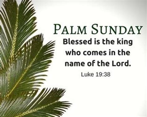 Check also the date of palm sunday in 2022 and in the following years. Palm Sunday 2020 Quotes From the Bible | Palm Sunday ...