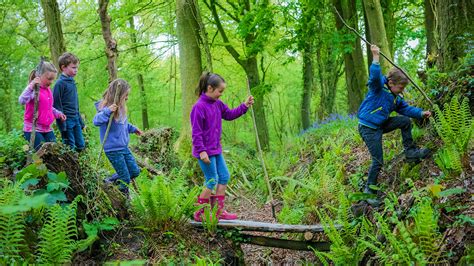 Outdoor Activities for Children and Families - Woodland Trust