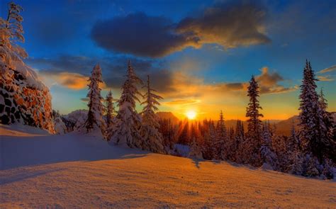 Schöner Sonnenuntergang Winter Schnee Bäume Dämmerung Hd