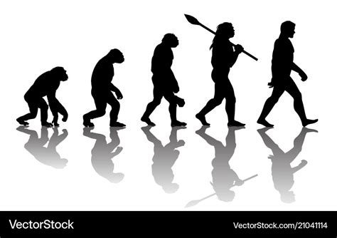 Theory Of Evolution Of Man Royalty Free Vector Image