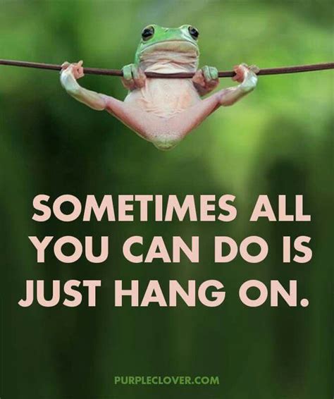 Funny Quotes About Hanging In There Shortquotescc