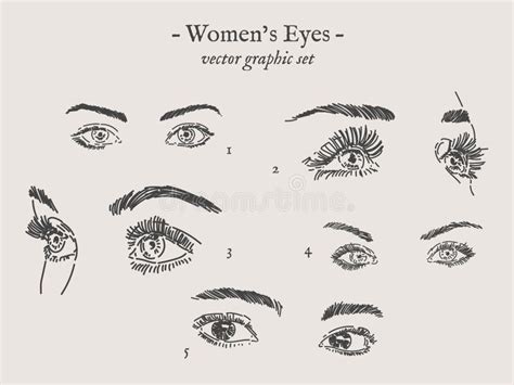 vector eyes drawings set stock vector illustration of icon 113405875
