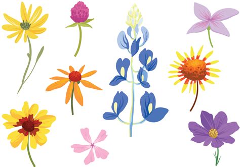 Free Colorful Wildflower Vectors 149331 Vector Art At Vecteezy 6f0