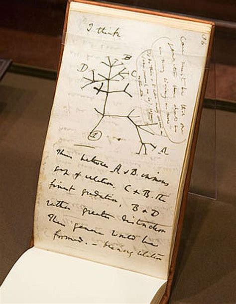 Pin By Kristan Wheaton On Marginalia And Famous Notebooks Pocket