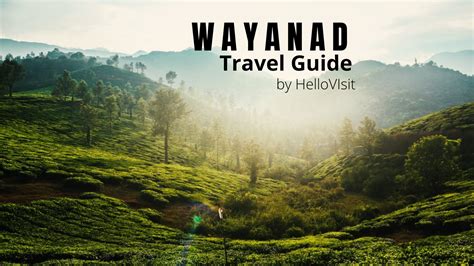 Wayanad Tour And Travel Guide Hellovisit