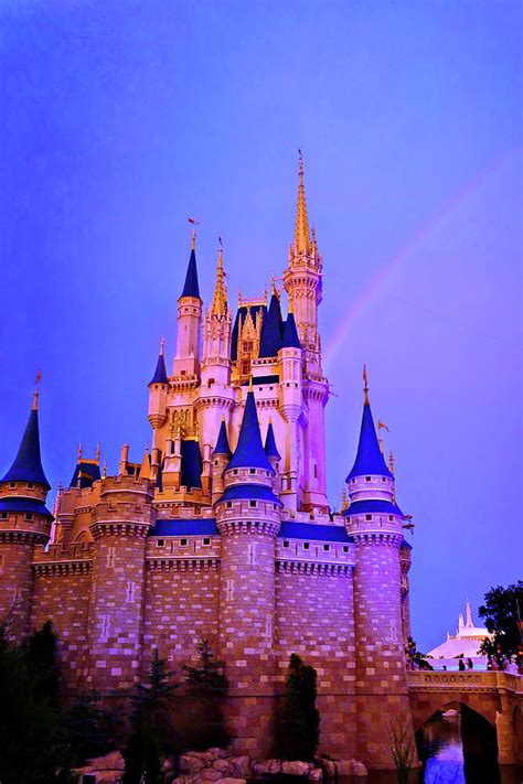 Disney Rainbow Photograph By Guy Thompson Fine Art America