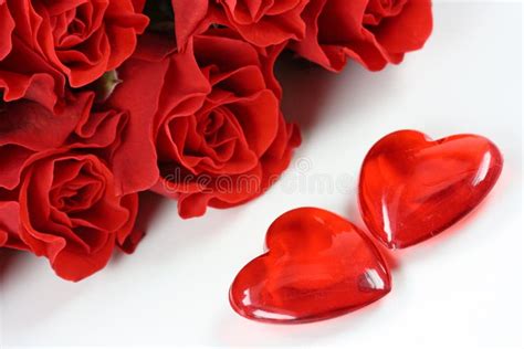 Two Hearts And Red Roses Stock Photo Image Of Flower 7173630