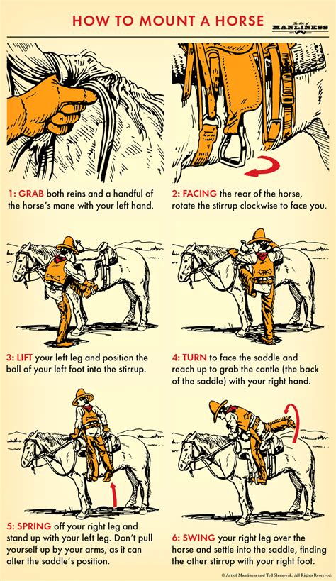 How To Mount A Horse An Illustrated Guide The Art Of Manliness