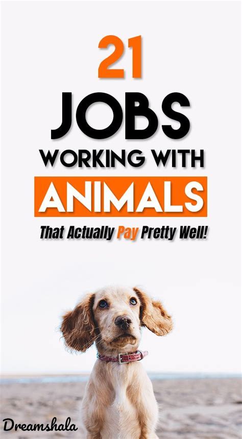 21 Coolest Jobs Working With Animals (Jobs List for 2021) | Working