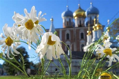 Обряды и ритуалы на деньги, здоровье. Праздник "Троица" - история, традиции, обычаи и обряды