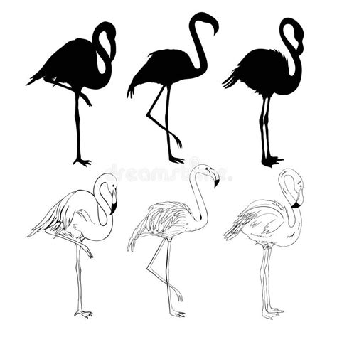 Hand Drawing Flamingos Vector Illustration Stock Vector Illustration
