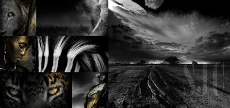 Art Prints | Buying