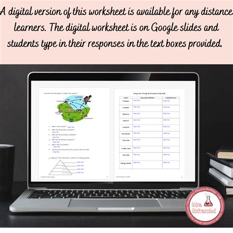 Distance Learning Food Chain Food Web Energy Pyramid Practice