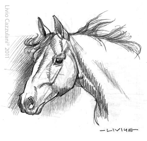 Horses And Women Livius Notes