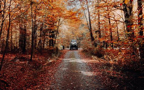 Download Wallpaper 3840x2400 Forest Road Car Autumn Nature 4k Ultra