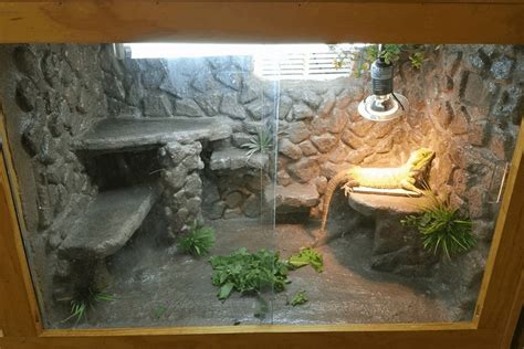 Sometimes, purchasing a bearded dragon terrarium could be not so pocket friendly for you. How To Make A Custom Bearded Dragon Cage