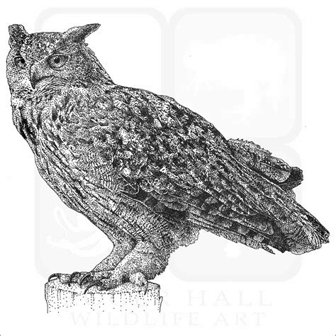 Eurasian Eagle Owl Signed Fine Art Print Inkart