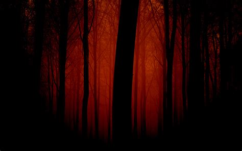 Scary Forest Wallpaper 57 Images