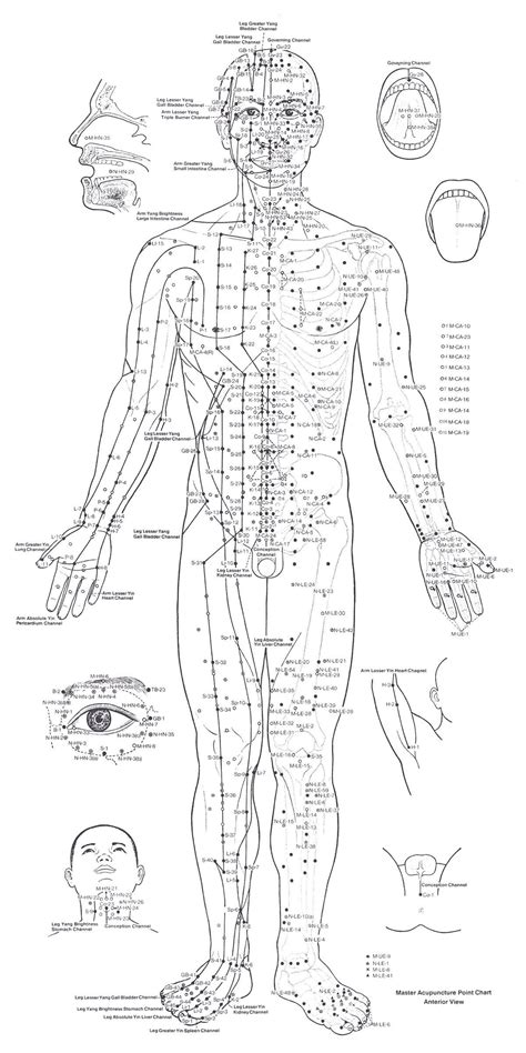 Acupuncture How It Works Uses Benefits And Risks Artofit