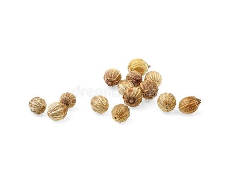 Dry Coriander Seeds Isolated On White Background Closeup Stock Image