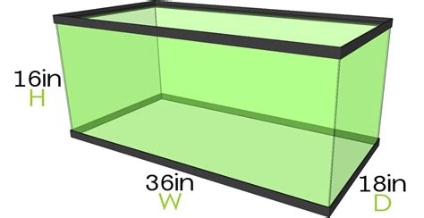 Dimensions Of 40 Gallon Breeder Aquarium Aquarium Views