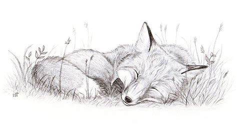 Sleeping Fox By Bastet Mrr On Deviantart Animal Sketches Fox Art
