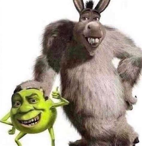 Donkey And Shrek Shrek Memes Shrek Really Funny Pictures