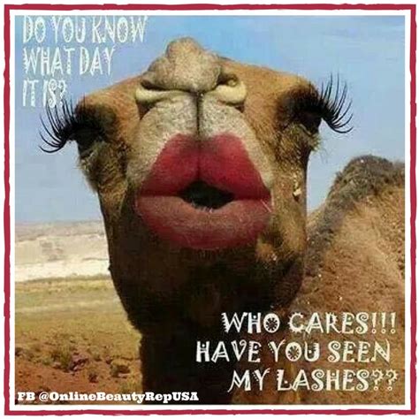 The 16 best hump day memes. Pin on BEAUTY QUOTES & HUMOR