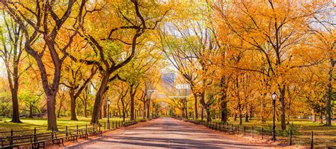 Central Park In Autumn Fine Art Photo Prints Of Nyc Vast