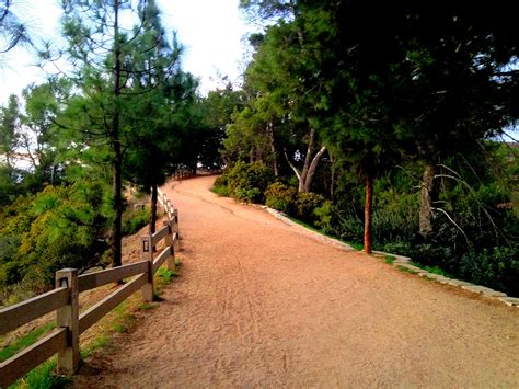 Griffith Park Los Angeles California California Hikes Griffith