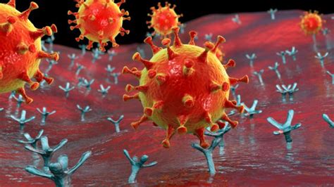 Coronavirus ¿cómo Aumenta La Capacidad De Infección Del Sars Cov 2 Con
