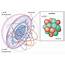 Basic Model Of The Atom  Atomic Theory