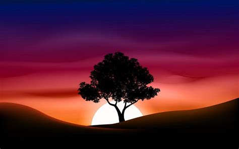 Tree Silhouette On Red Sky Sunset Or Sunrise Vector Art At Vecteezy