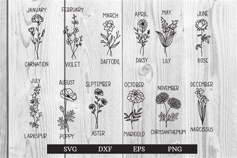 Birth Month Flowers Clipart Floral Graphic (1237686)