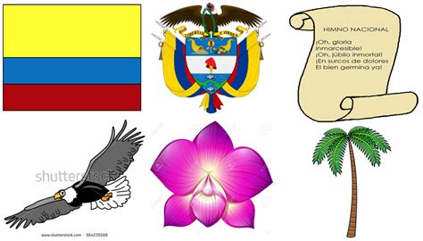 Guia No 6 “colombia La Nuestra” Algo De Historia Sus Símbolos Y Sus