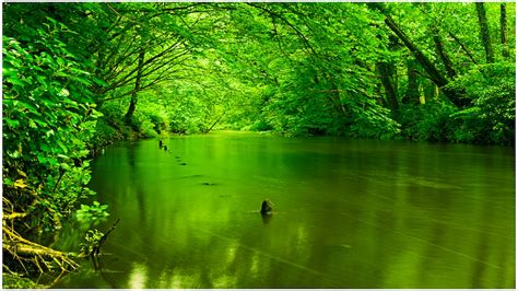 Free Download Green Nature Wallpaper Sf Wallpaper 1366x768 For Your